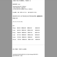 2024年12月 1日 WANG-E# WE24639R  破爛效果冷衫 JJ2