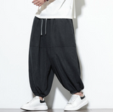 2026年 05月 1 日  XZ 220-2 #AK45    闊腳束腳9分褲